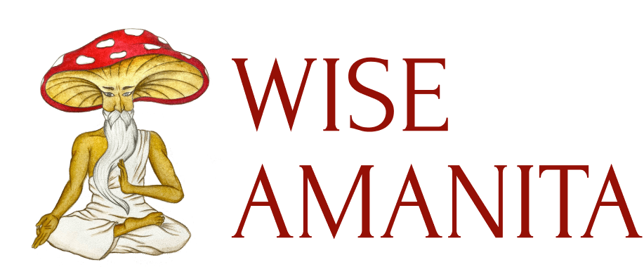 wise-amanita2