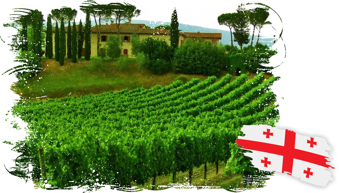  ооо национальные продукты kula соусы кетчуп аджика компоты