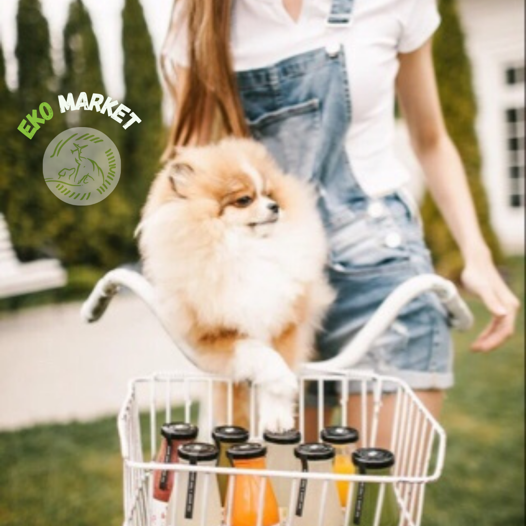What Are Eco-Friendly Pet Products?