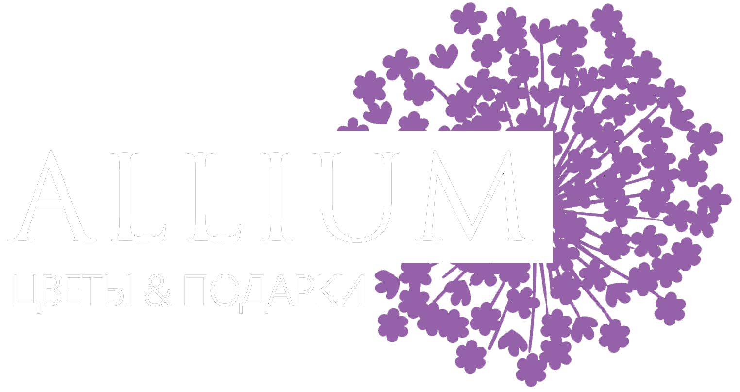 Мы находимся:
