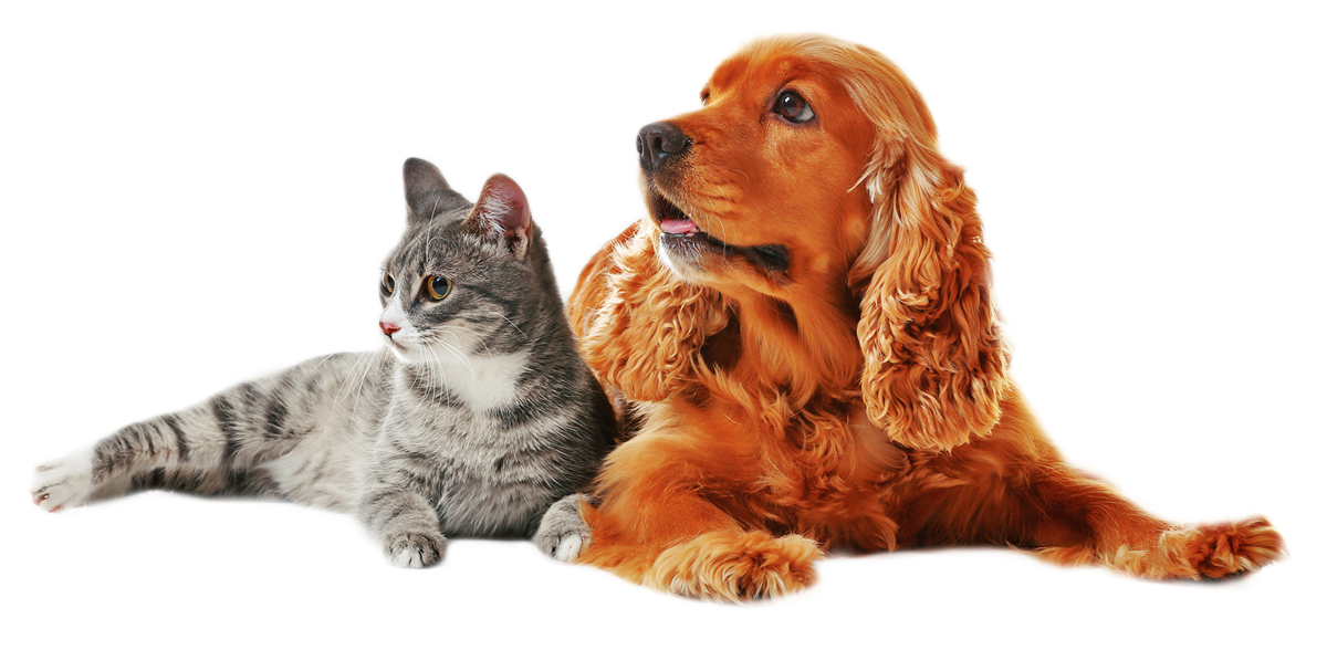 Them for pets