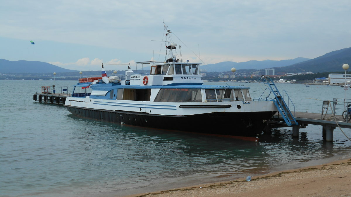 Новороссийск морской вокзал морские прогулки. Теплоход новороссийск. Новороссийск морской вокзал морские прогулки. Цемесская бухта морская прогулка. Прогулки на теплоходе новороссийск.