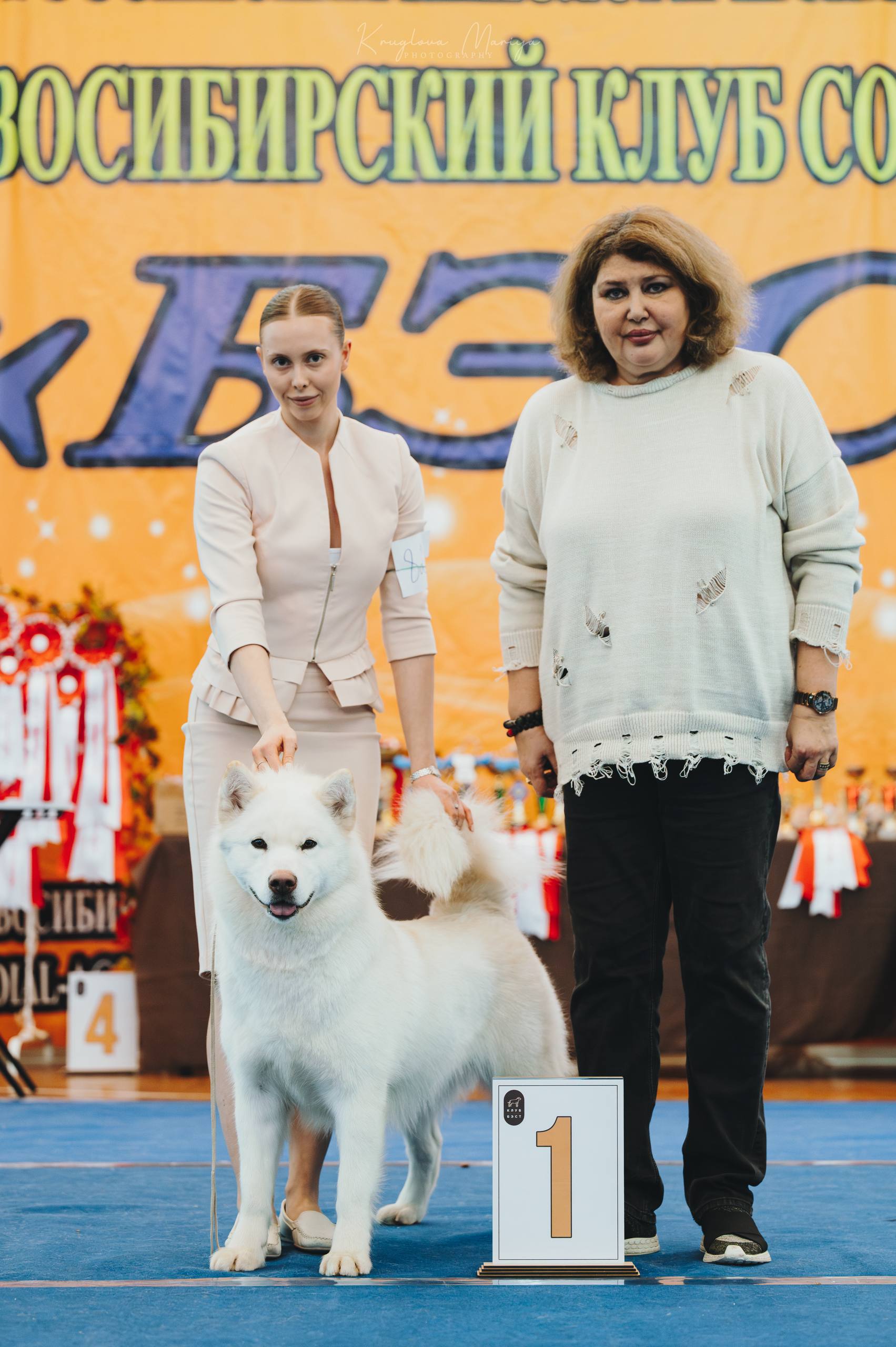 Собака на выставке — фото 9