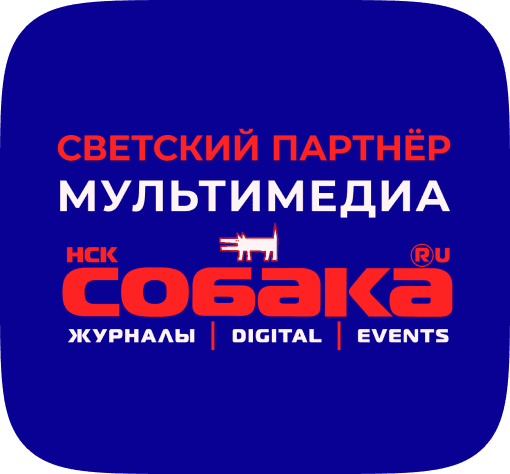 Светский партнёр