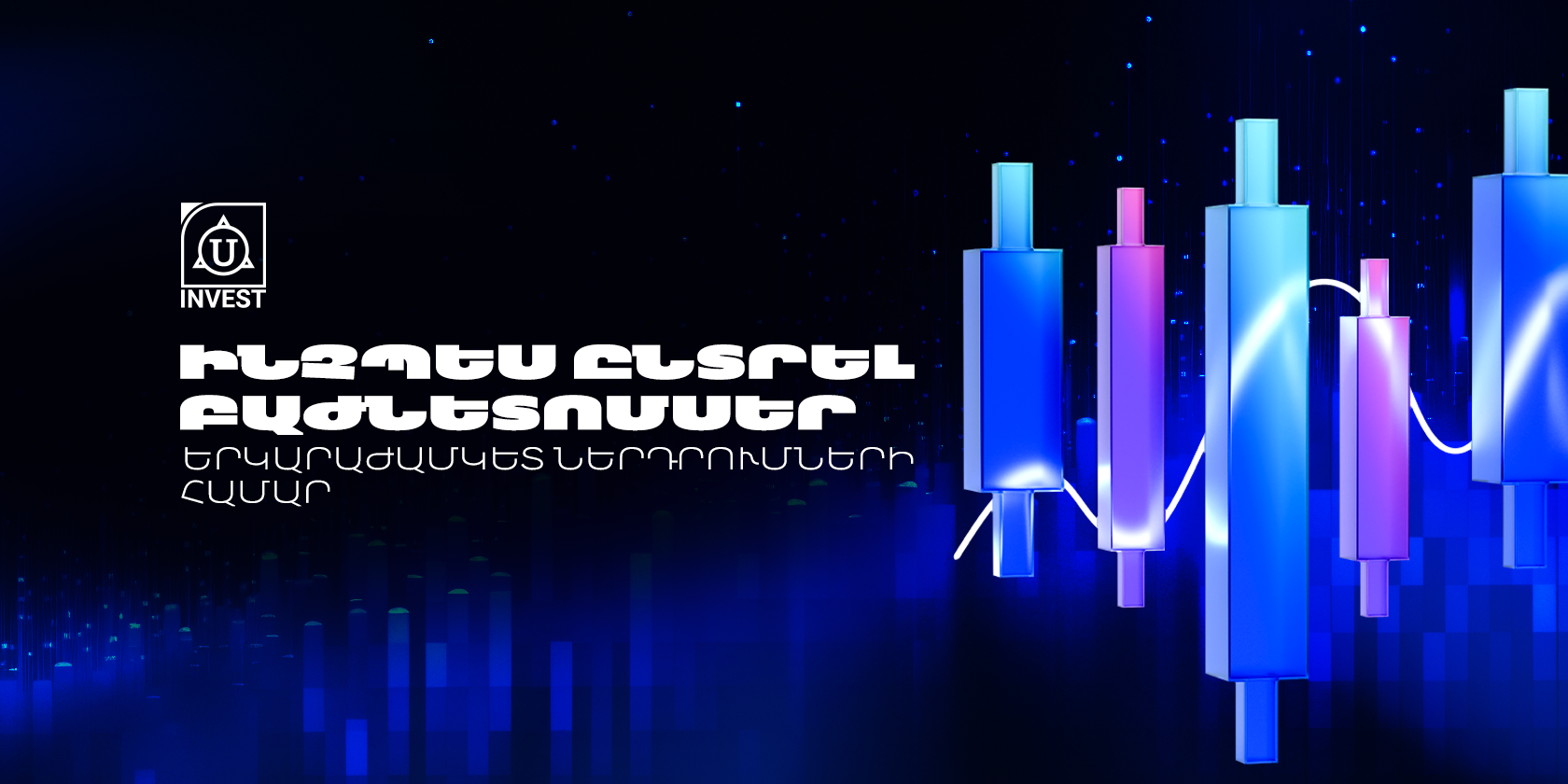 Երկարաժամկետ ներդրում բաժնետոմսերում՝ կապիտալի աճ և դիվիդենտներ: