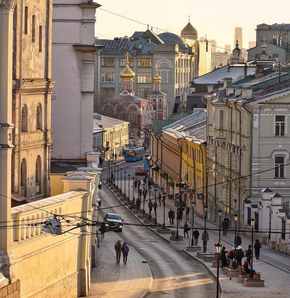 Ивановская слив фото