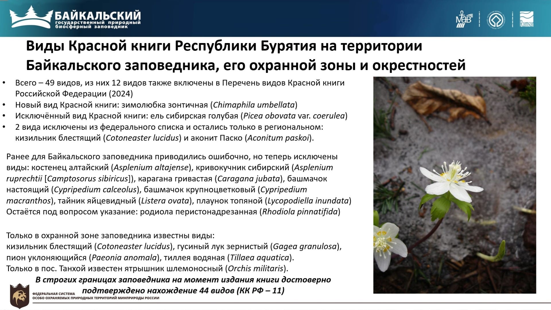 Байкальский заповедник