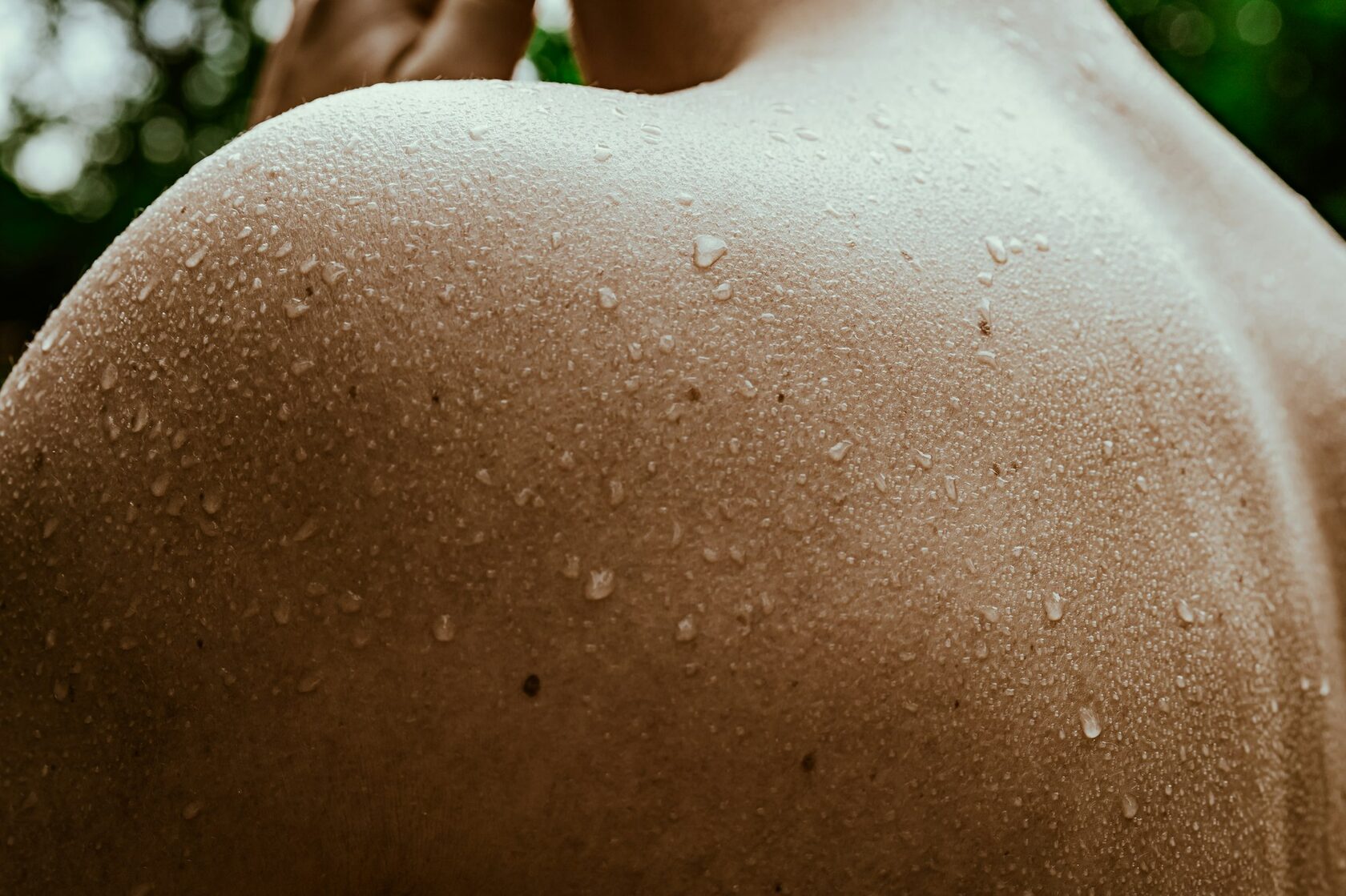 Wet skin and shoulder in late-morning tropical light — the body before words.