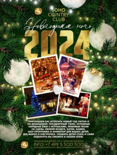 Новогодняя ночь 2024