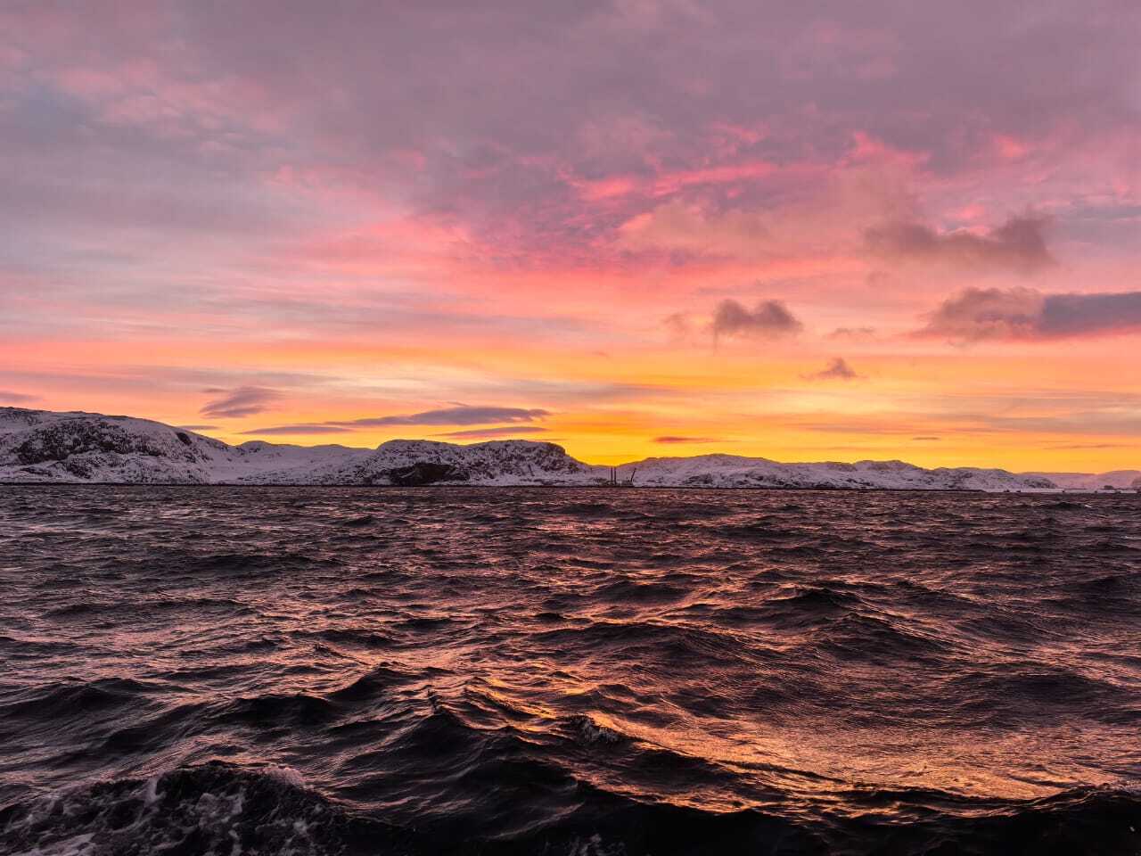 Увидеть китов в Мурманске туры