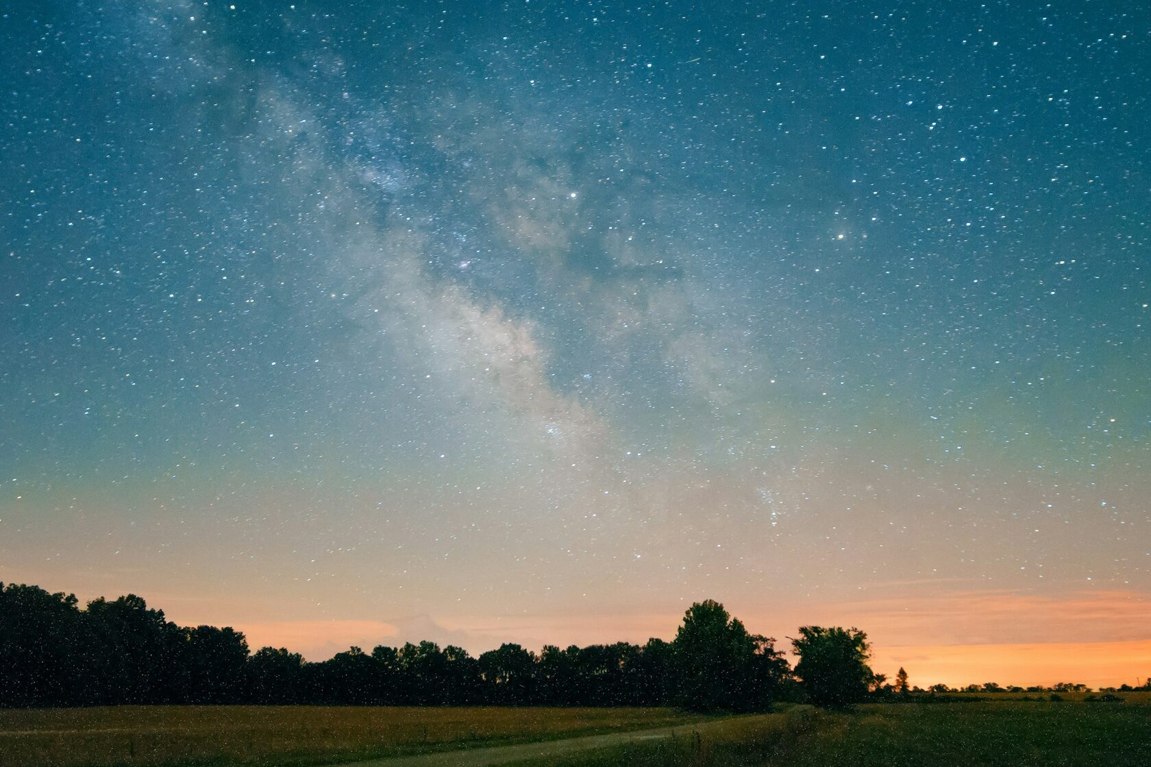 Forest Stars