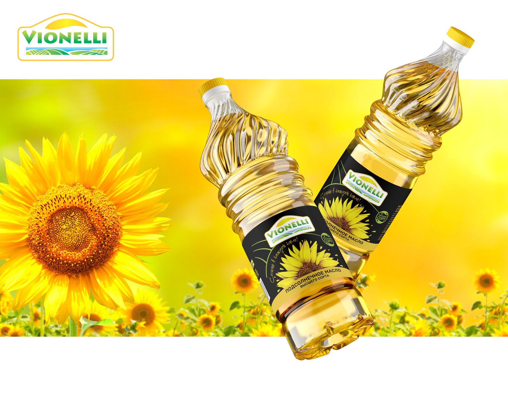 Заказать дизайн упаковки: разработка дизайна упаковки и этикеток