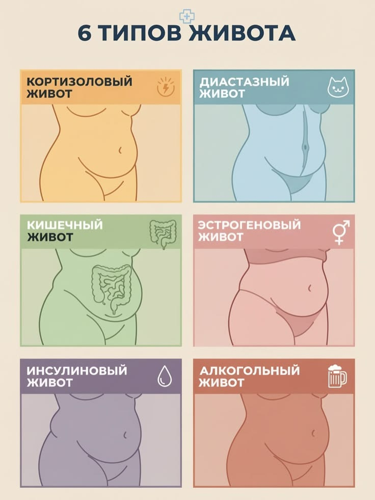Шесть популярных типов живота