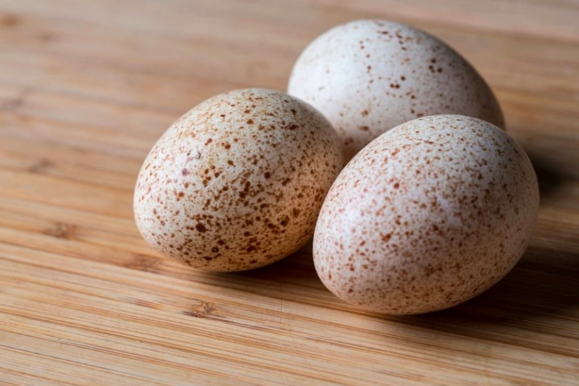Брянская область куплю яйцо. Яйцо инкубационное индюшиное. Цесариные яйца. Инкубационное яйцо индейки Хайбрид. Яйца цесарки.