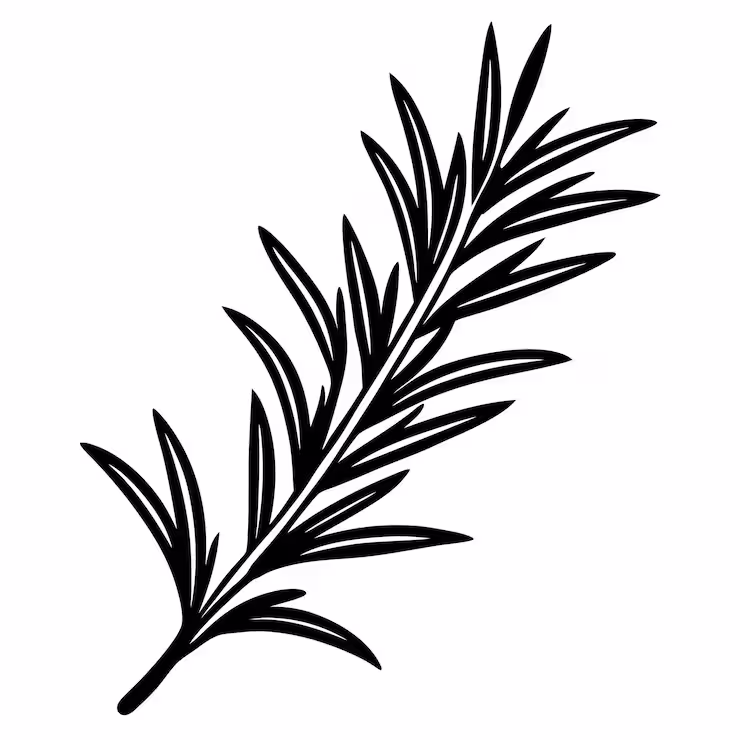 Вилла Бельведере