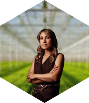 Несретдинова Екатерина