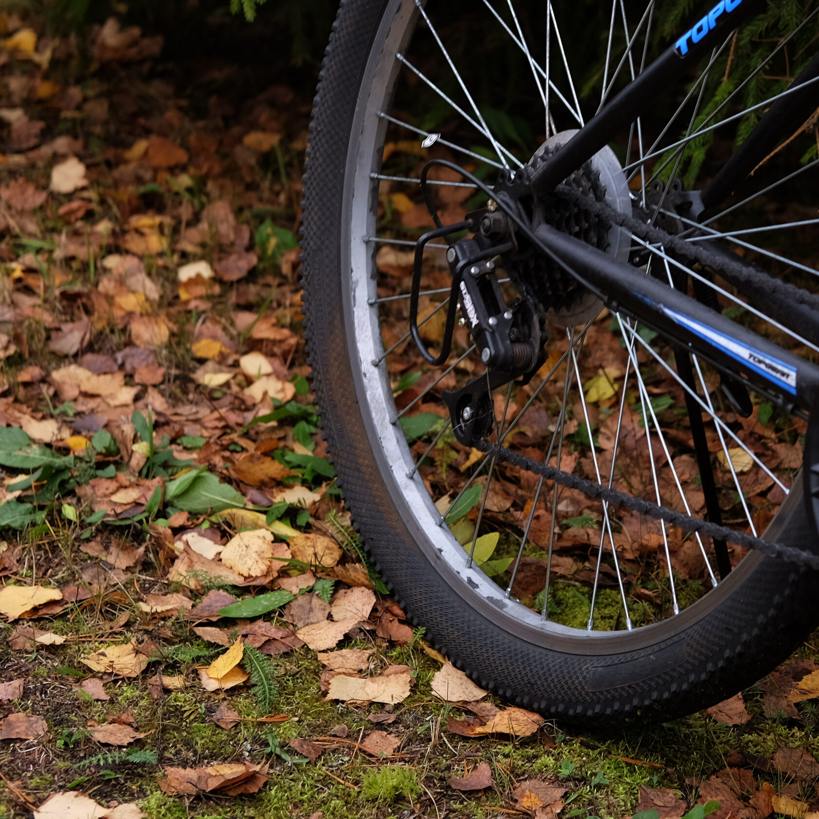 Велопрокат