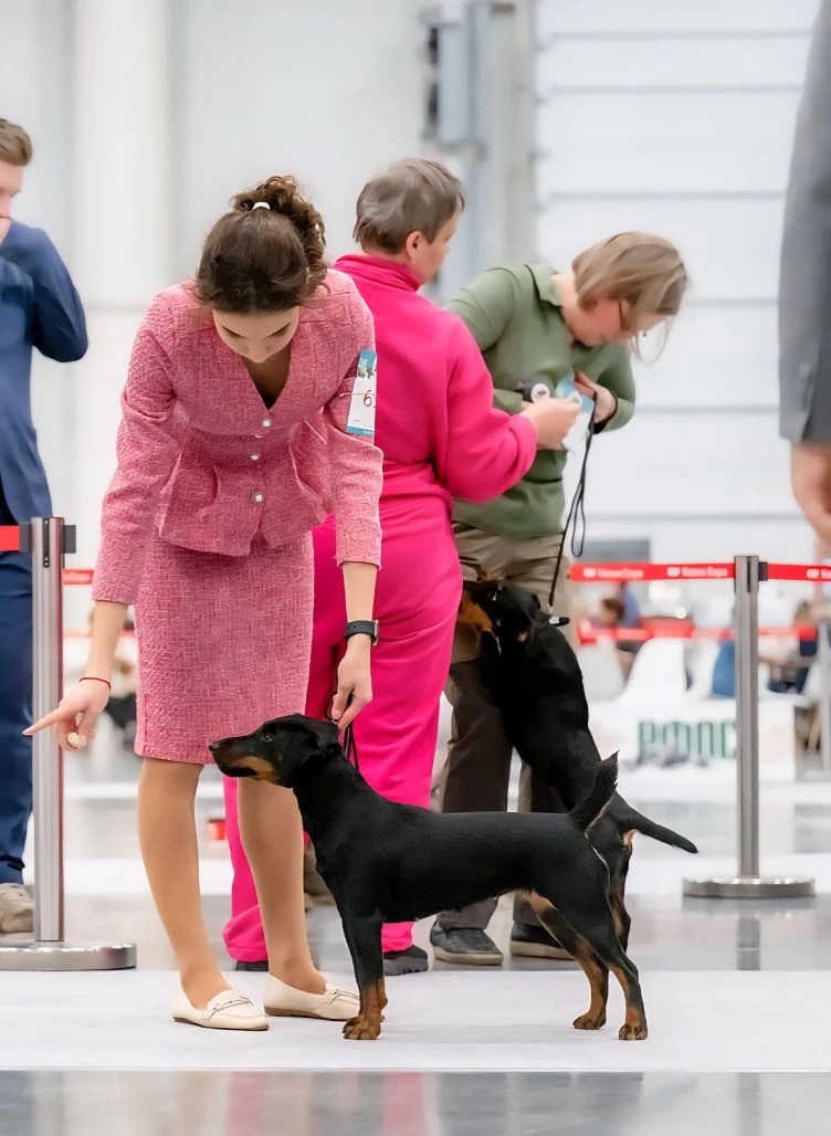 LEKSA S SHAROMSKIH GOR