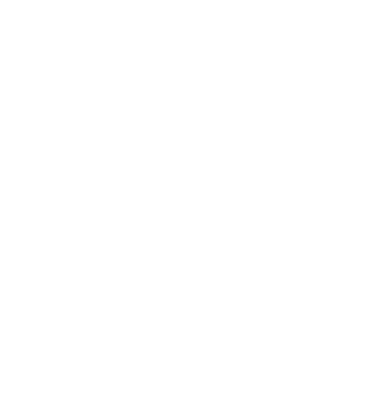 Camel Auto