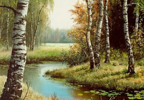 Лесная речка