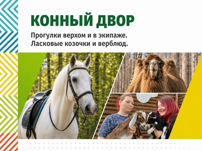 Конный двор