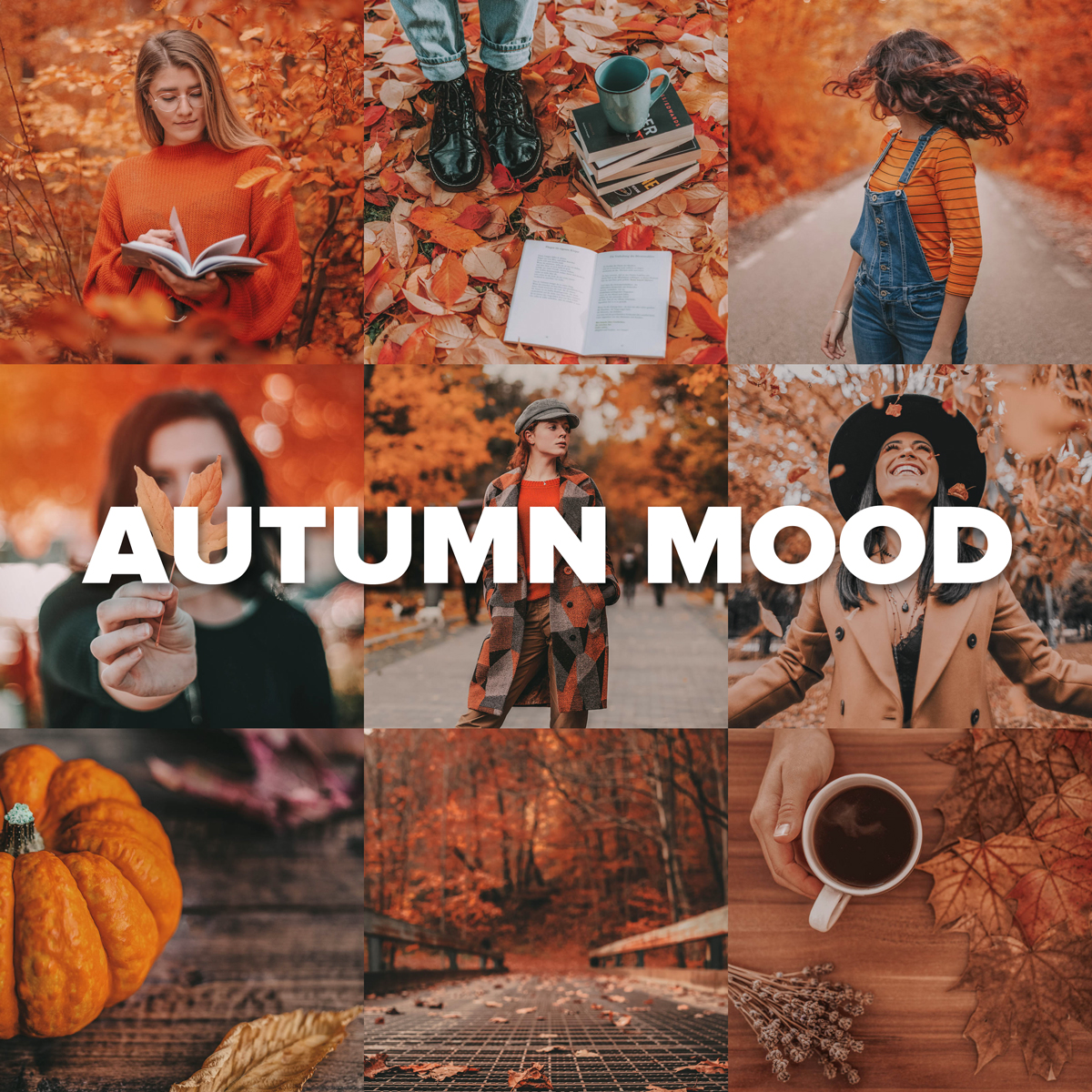 Превью Autumn Mood