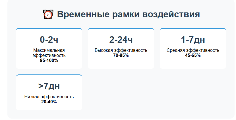 Временные рамки решения проблемы