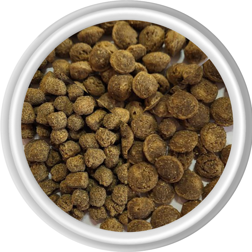 ЗКЗ. Знаменские корма. Полезные и натуральные корма для животных, корма ...