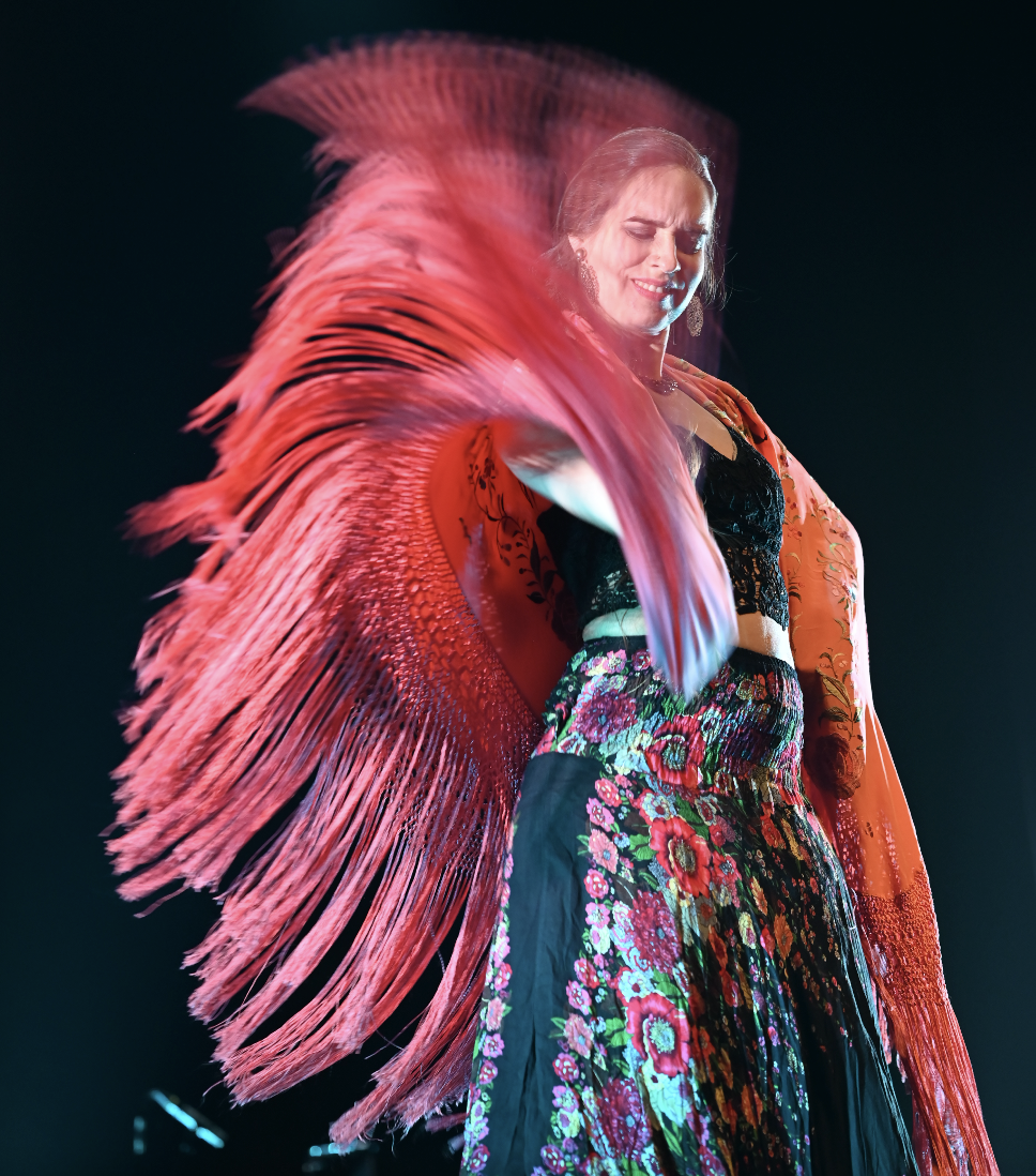 Артисты Enigma Flamenco