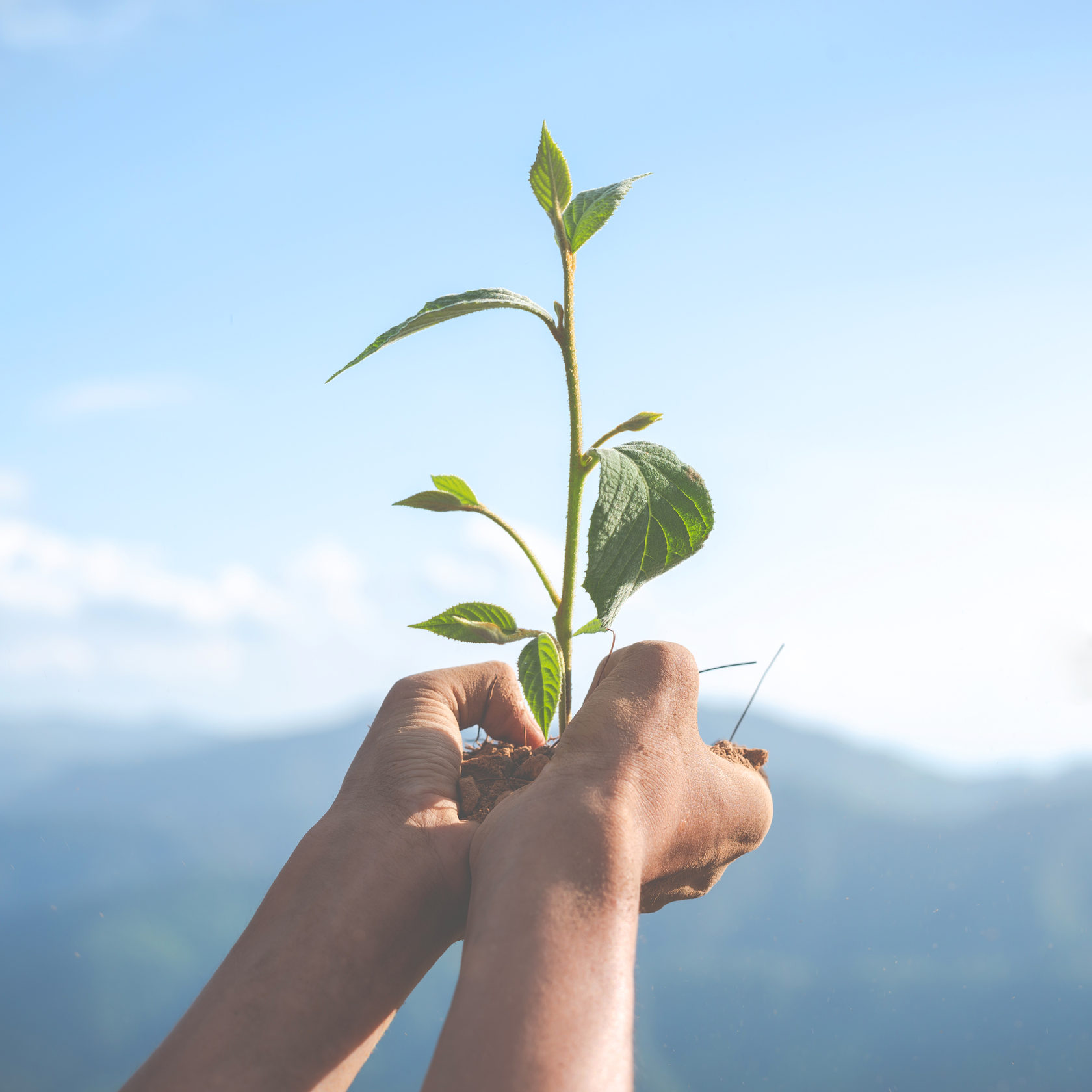 Раскрещивание - пройти обряд раскрещивания