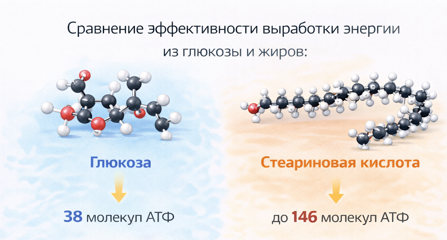 Почему жиры дают больше энергии чем глюкоза