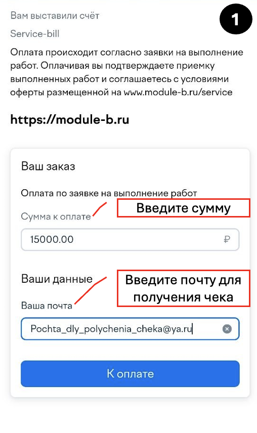 Ввод суммы платежа и e-mail для получения чека