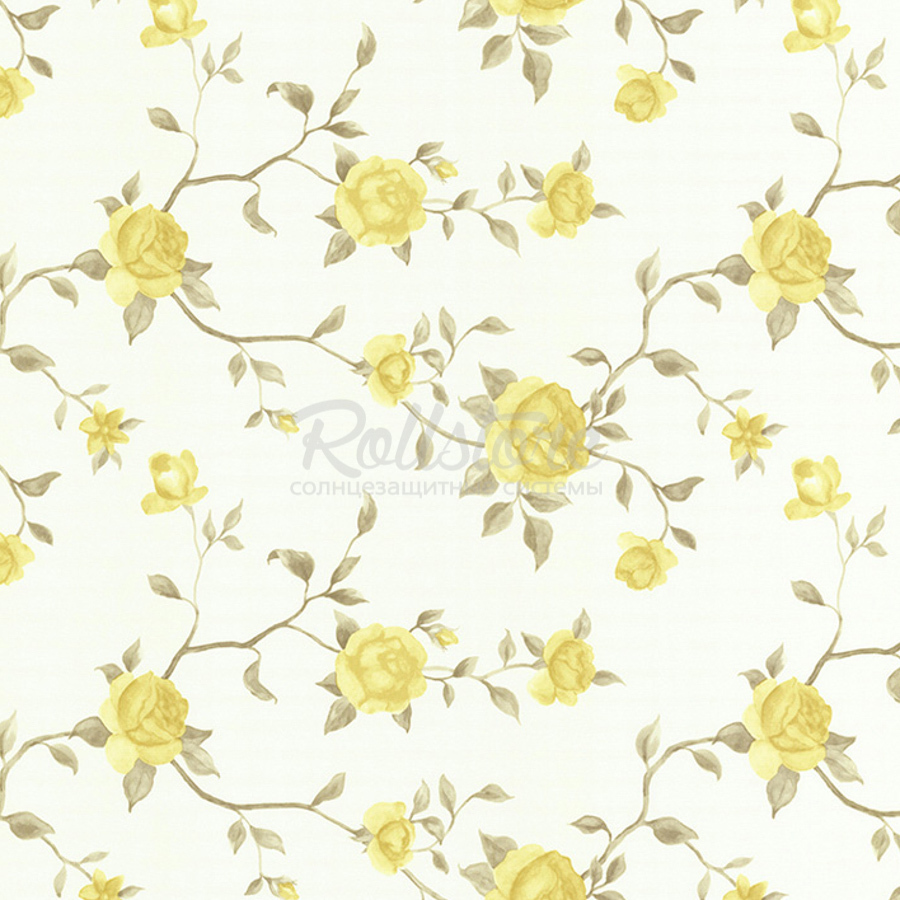 Анже апельсин