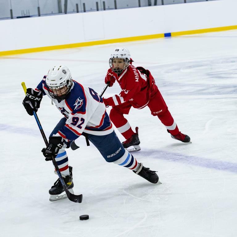 Видный спорт