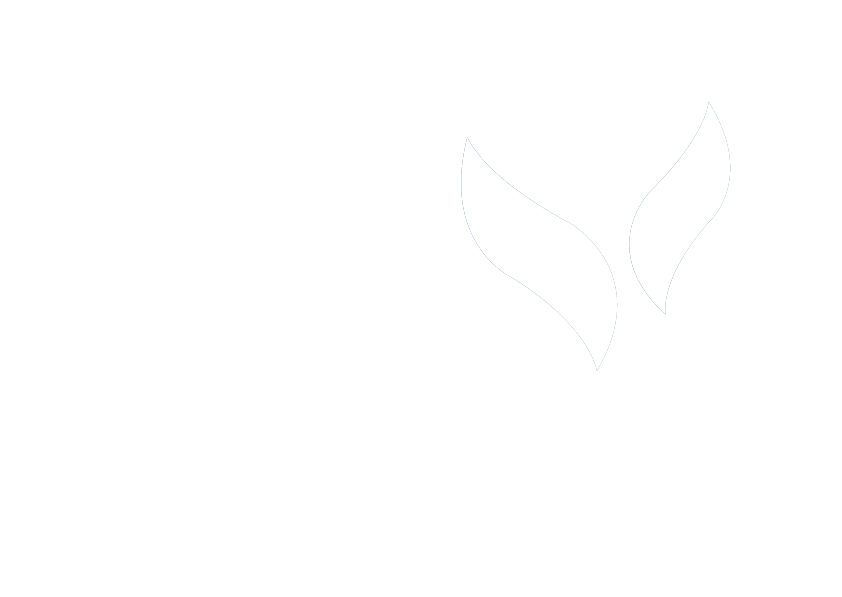 Die Fimo App