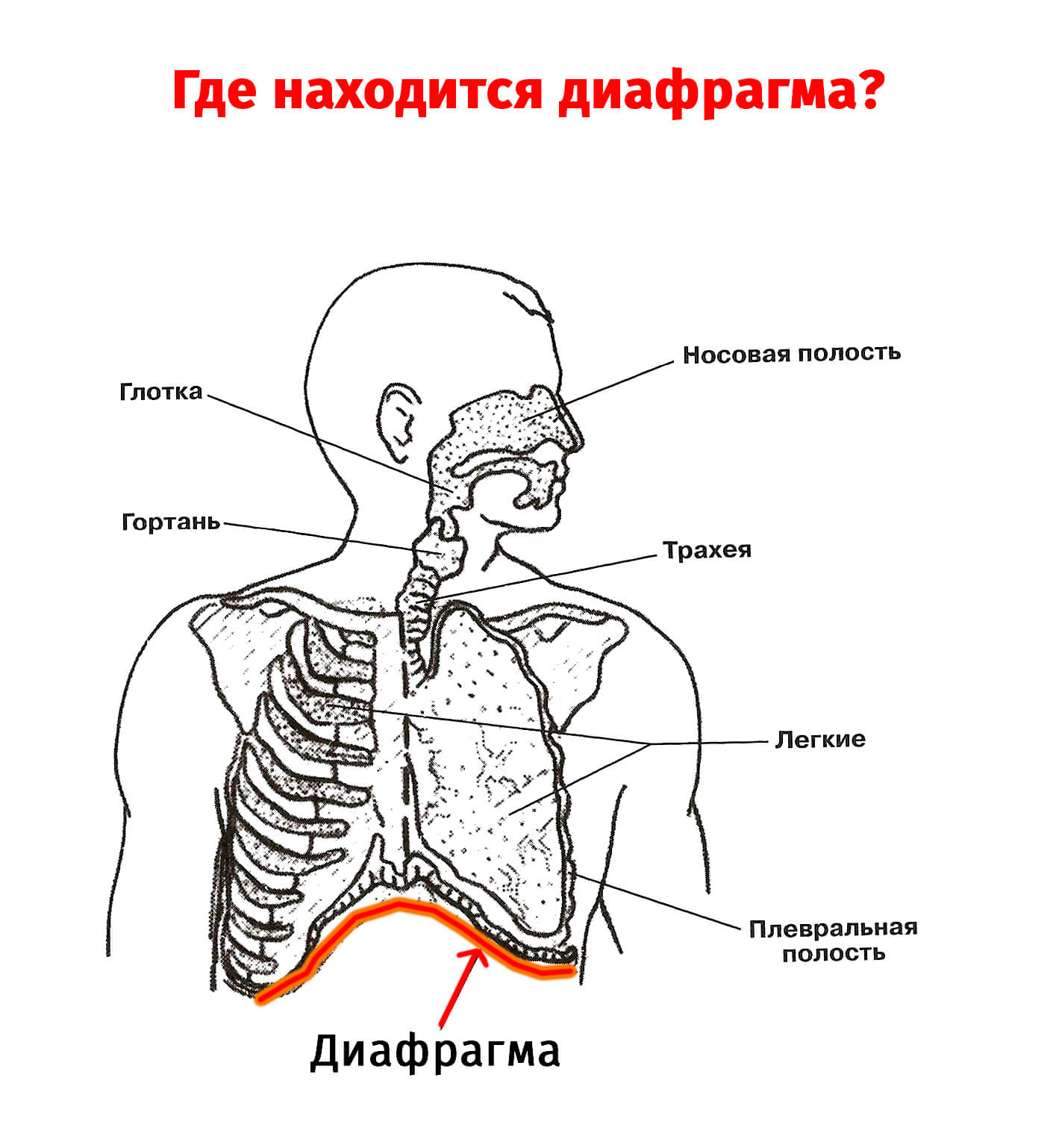 Как улучшить дикцию: рекомендации и упражнения