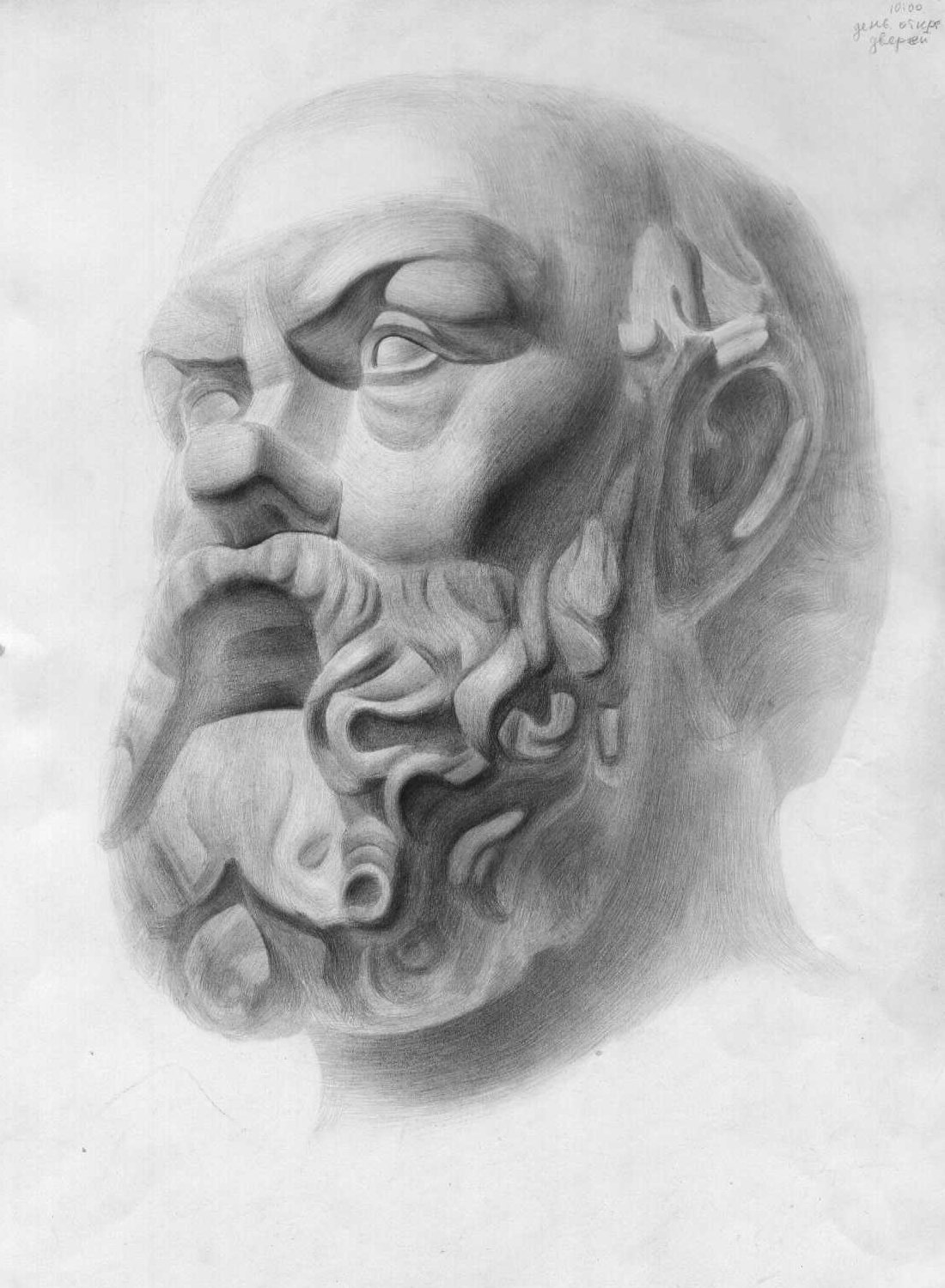 Гипсовая голова Сократа с шишкой