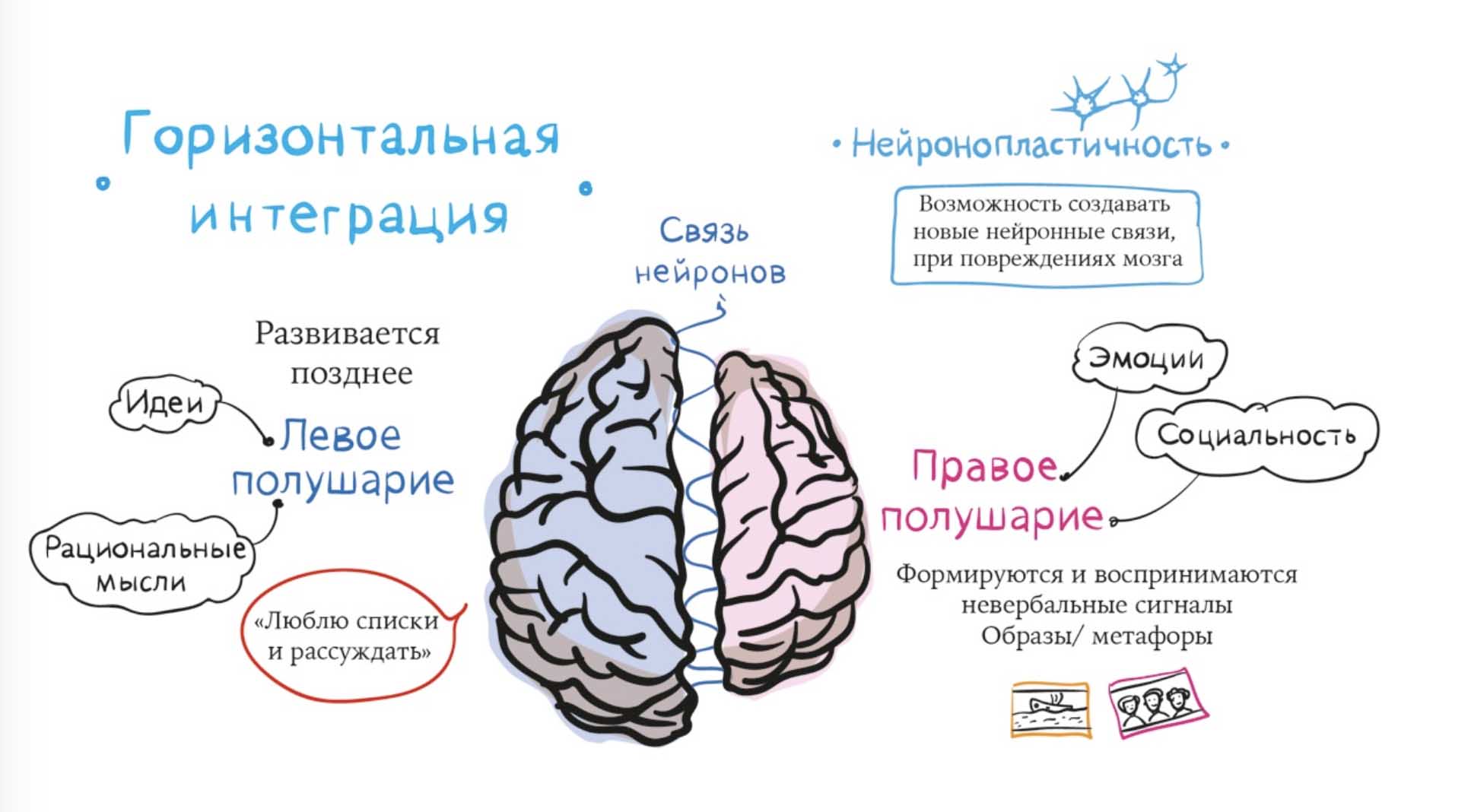 Развитие речи мозга. Левое и правое полушарие головного мозга. Полушария мозга для детей. Правое полушарие эмоции. 2 Полушария мозга.