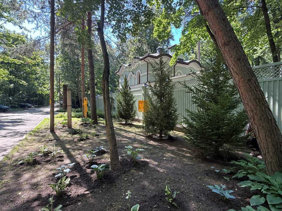 Выполнили профессиональную посадку елей для постоянной клиентки в КП &amp;amp;quot;Серебряный Бор&amp;amp;quot;