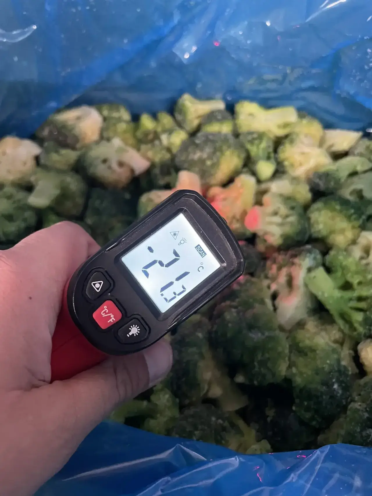 Temperature measurement of frozen broccoli showing minus 21.3 degrees Celsius