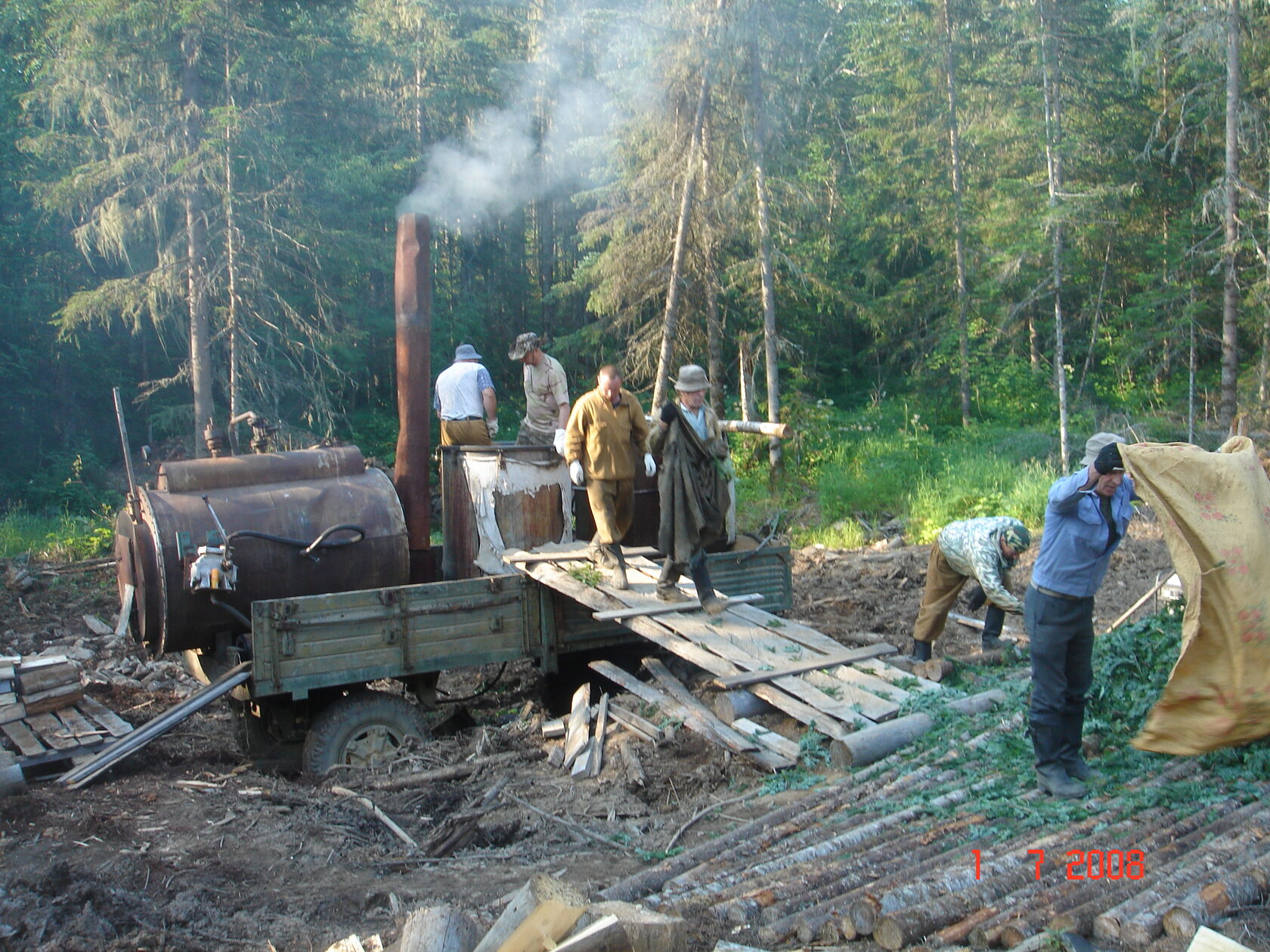 Производство пихтового масла с фото и видео - Фитонцид