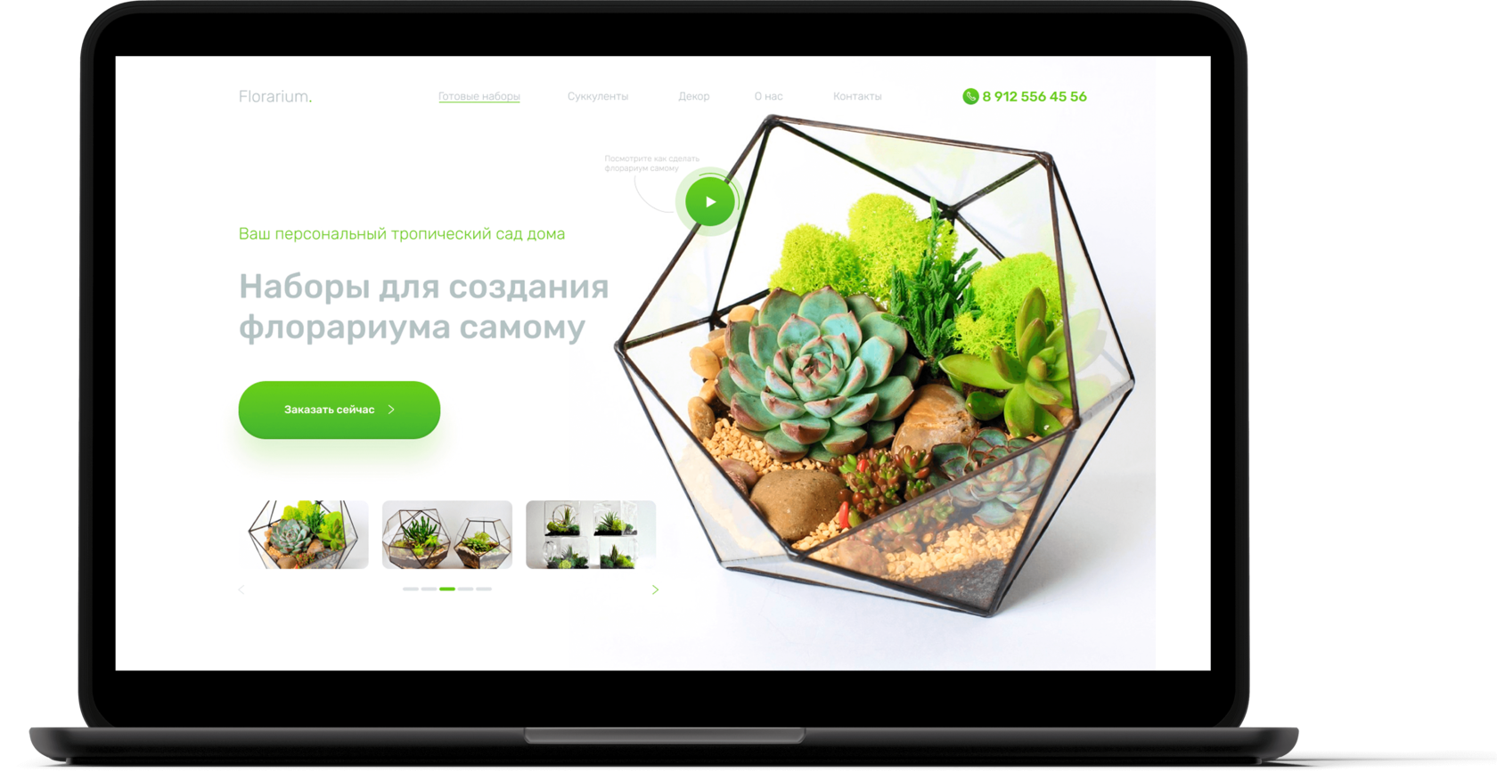 Лендинг "Наборы для флорариума"