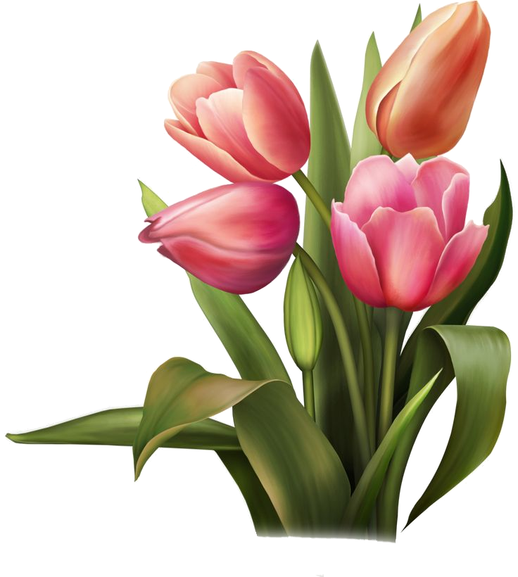 Формула успеха