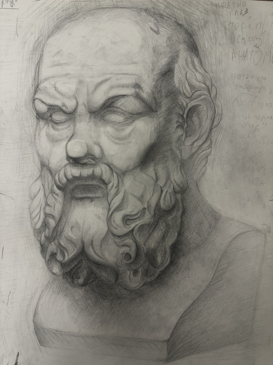 «Сократ» академический рисунок