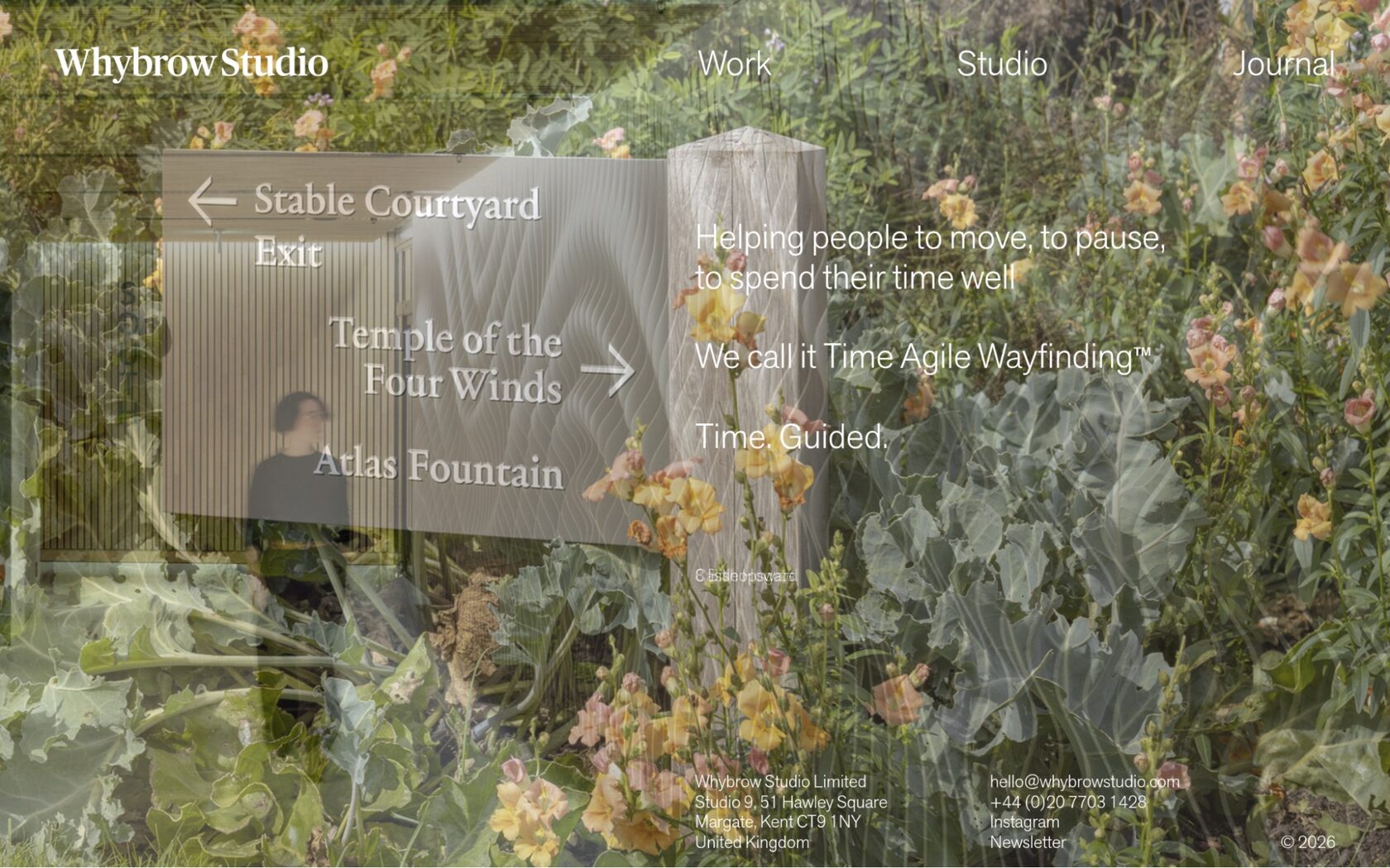 WhyBrow Studio Screenshot