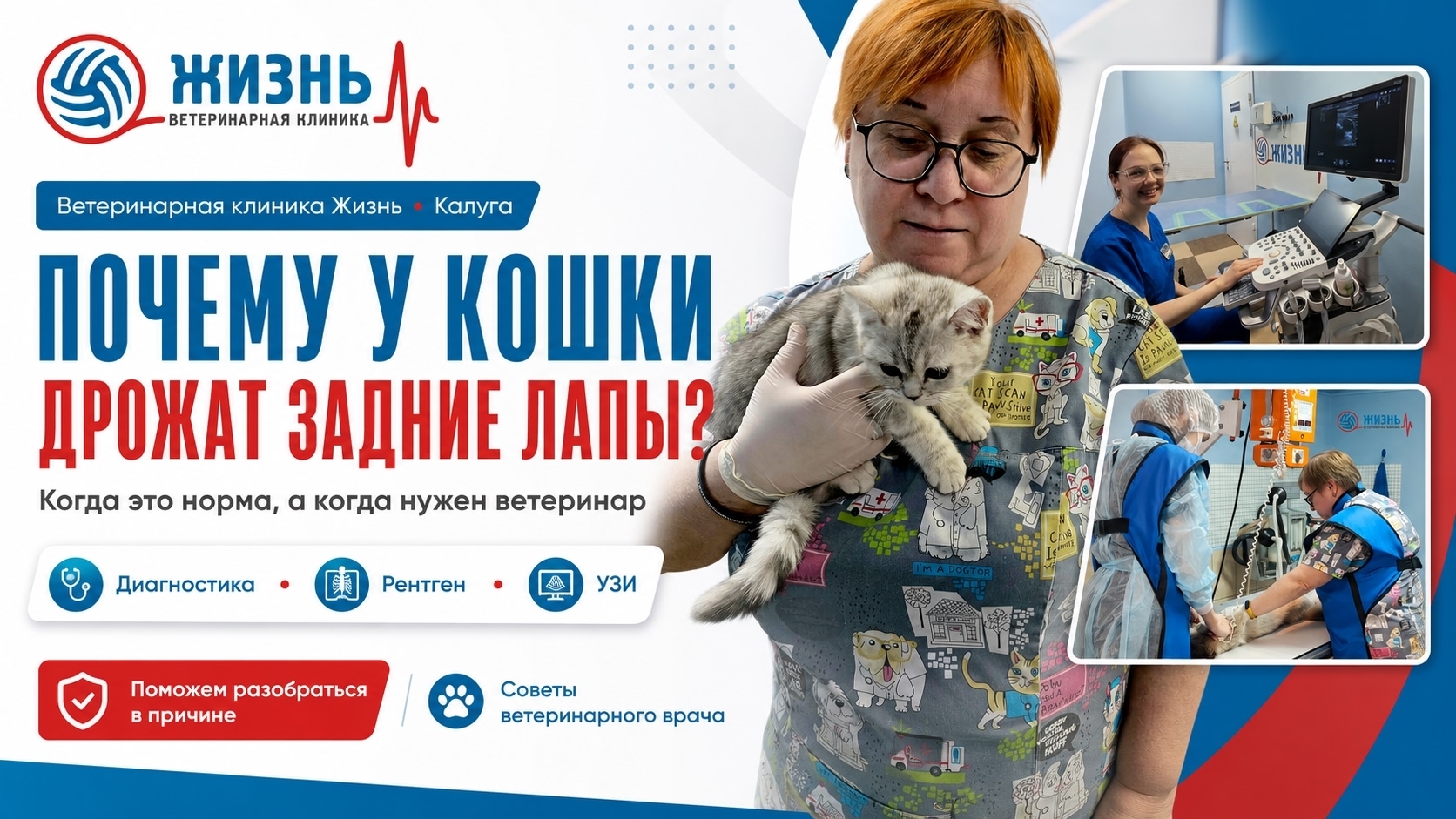 Ветеринарная клиника в Калуге Жизнь.