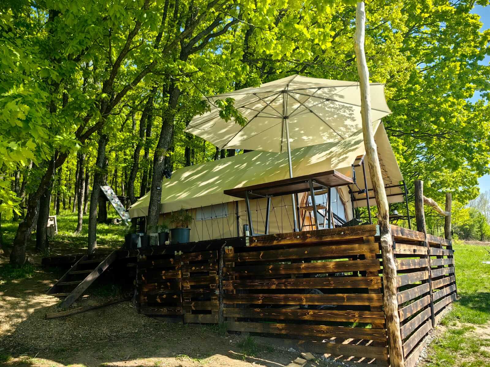 Краснодар · Эконом