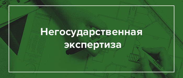 Негосударственная экспертиза