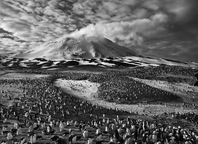 Фотограф Sebastião Salgado. Проект Genesis