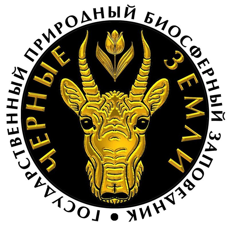 Логотип заказчика студии Камелот 5